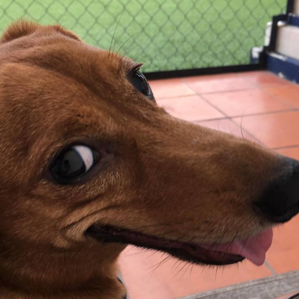 Meet your Posher, Rachael